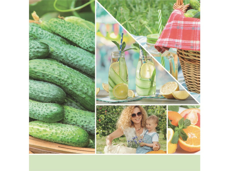 40682_CUCUMBER MINT COOLER